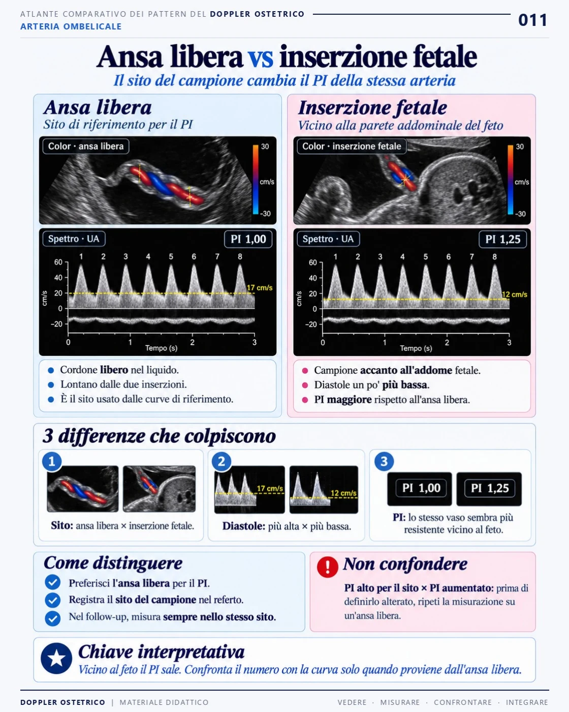 Pagina 11: Ansa libera e inserzione fetale. Estratto dal PDF di Doppler Ostetrico e Fetale in italiano.