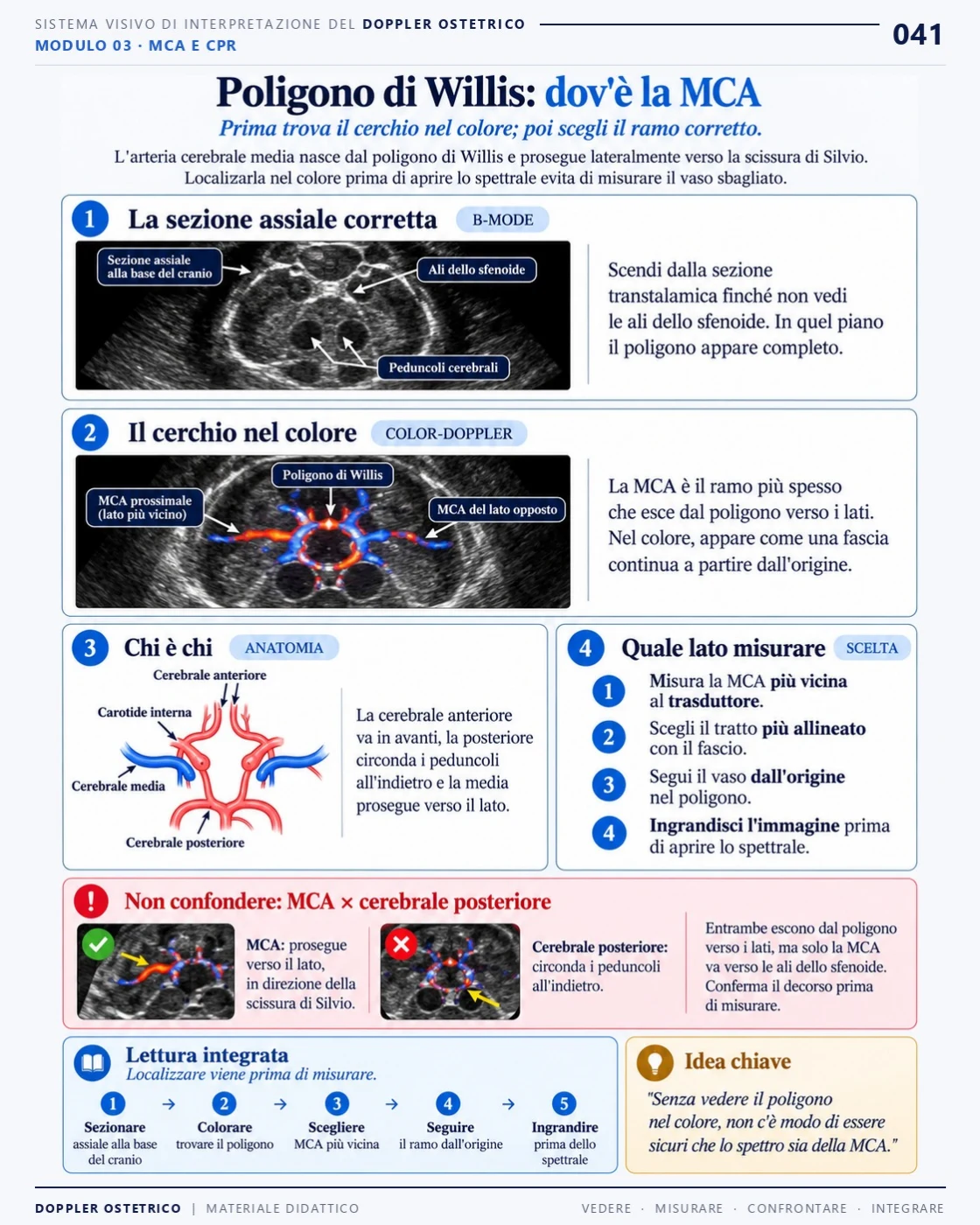 Pagina 41: Poligono di Willis: dove si trova la MCA. Estratto dal PDF di Doppler Ostetrico e Fetale in italiano.