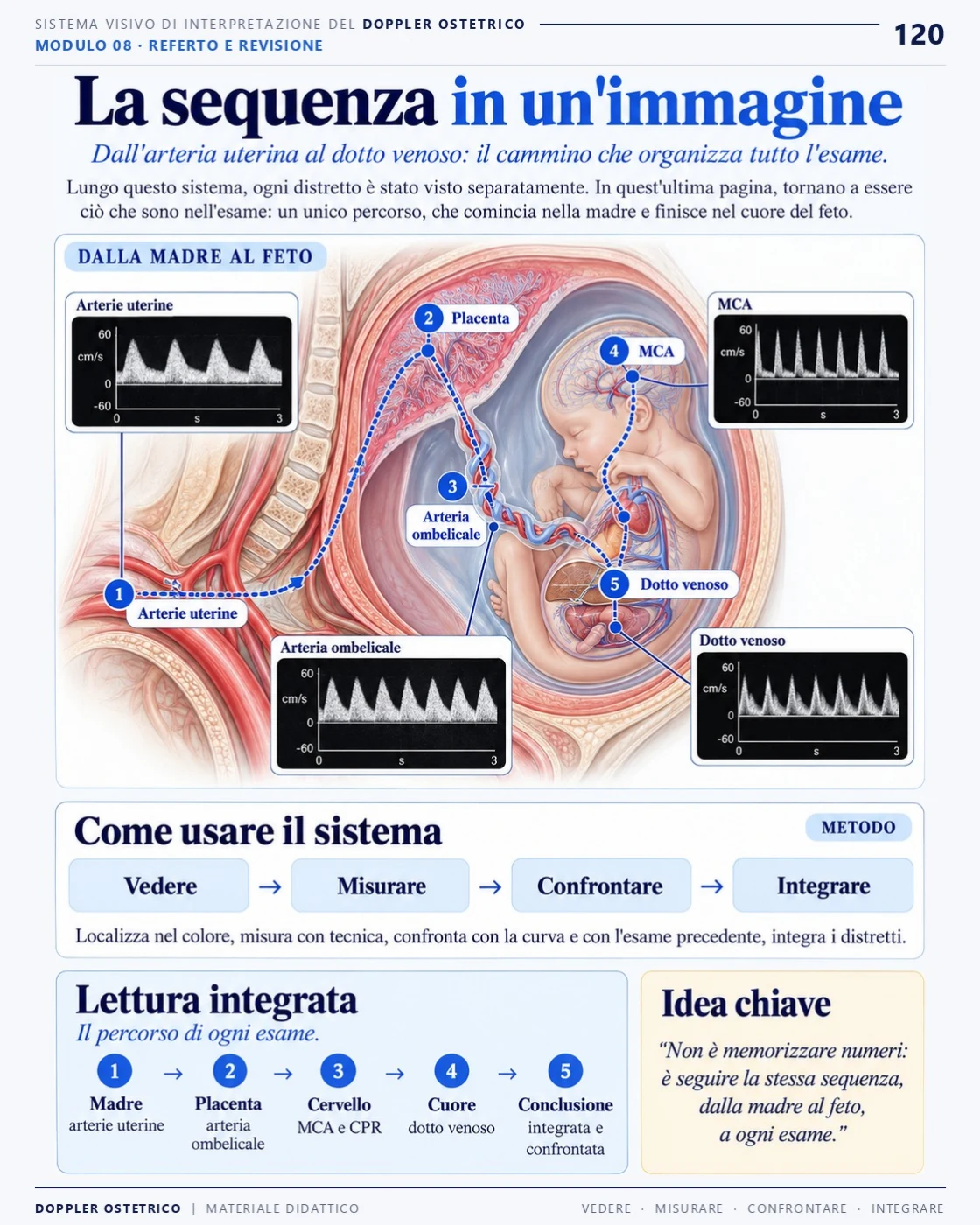 Pagina 120: La sequenza in un'immagine. Estratto dal PDF di Doppler Ostetrico e Fetale in italiano.